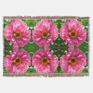 Couverture Zinnia rose