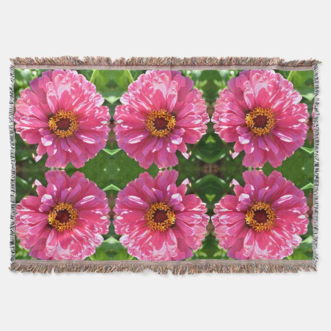 Couverture Zinnia rose (Devant)