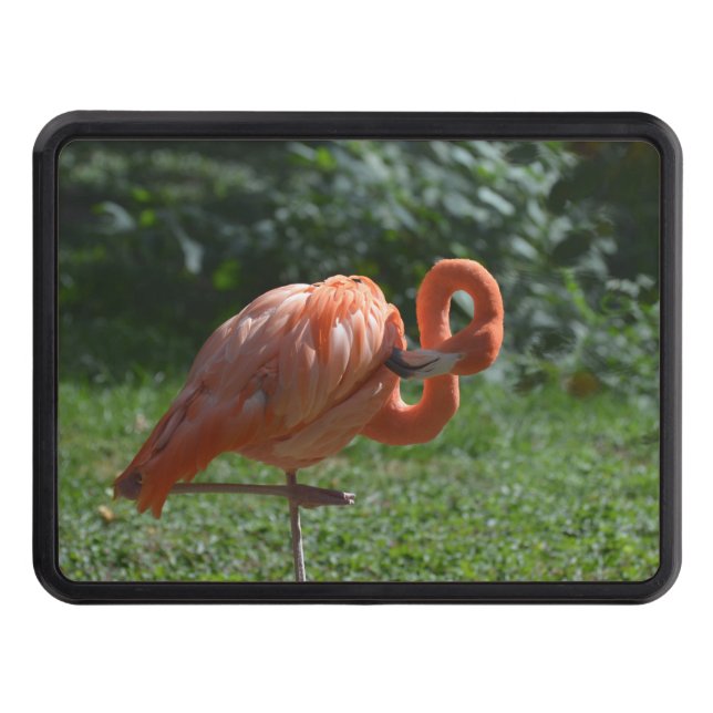 Couvertures D'attelage De Remorque Flamant rose rose parfait (Devant)