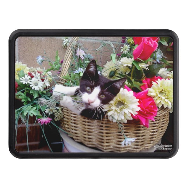 Couvertures D'attelage De Remorque Kitten dans un panier (Devant)