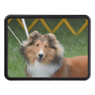 Couvertures D'attelage De Remorque Sheltie mignon