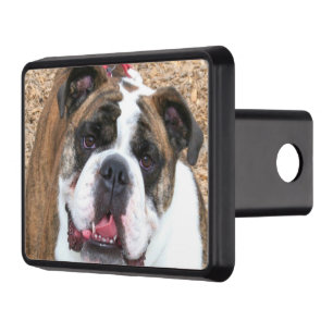 Couvertures Remorque D'attelage Bouledogue anglais