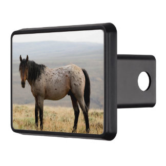 Couvertures Remorque D'attelage Cheval sauvage
