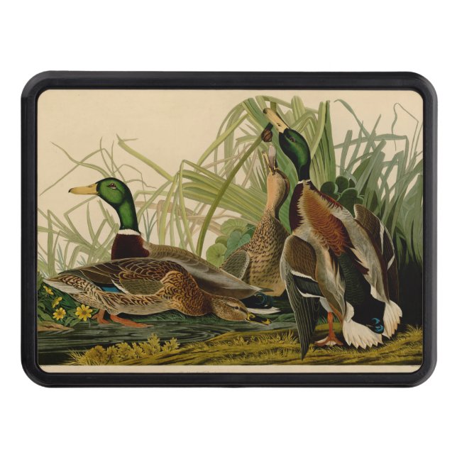 Couvertures Remorque D'attelage Peinture d'oiseaux de Mallard Duck Audubon (Devant)