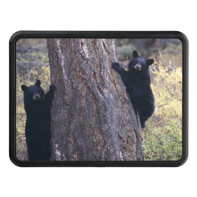 Couvertures Remorque D'attelage petits animaux d'ours noir (Devant)