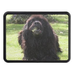 Couvertures Remorque D'attelage Pose de Terre-Neuve