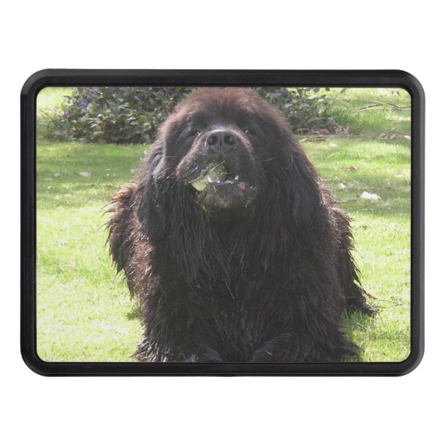 Couvertures Remorque D'attelage Pose de Terre-Neuve (Devant)