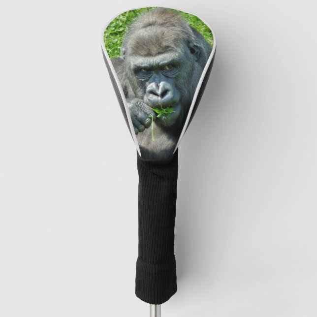 COUVRE-CLUB DE GOLF ANIMAUX SAUVAGES - GORILLAS (Devant)