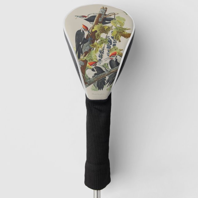 Couvre-club De Golf Audubon Pileated Woodpecker Bird Painting (Devant)