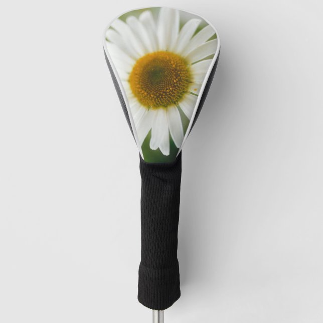 Couvre-club De Golf Basière oculaire blanche - Leucanthemum vulgare (Devant)