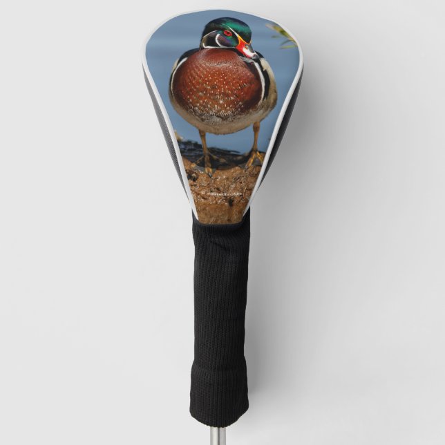Couvre-club De Golf Beau canard en bois pensif dans le marais (Devant)