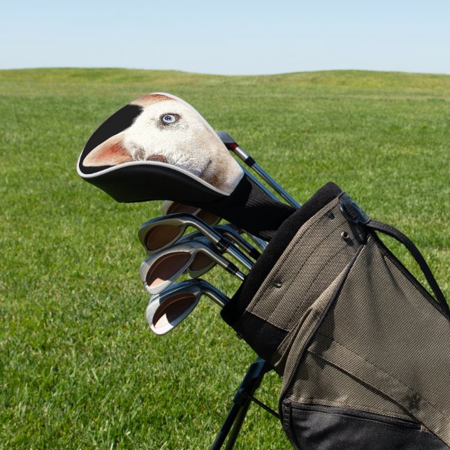 Couvre-club De Golf Beau Chien Husky Sibérien Blanc (In Situ)