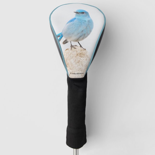Couvre-club De Golf Beau oiseau bleu de montagne sur un moignon (Devant)