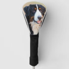 Berner Sennenhund