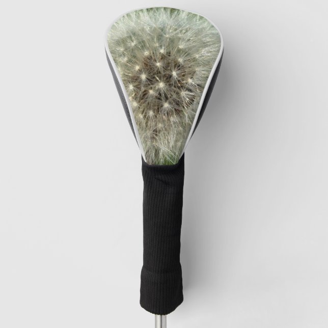 Couvre-club De Golf Big White Dandelion  (Devant)