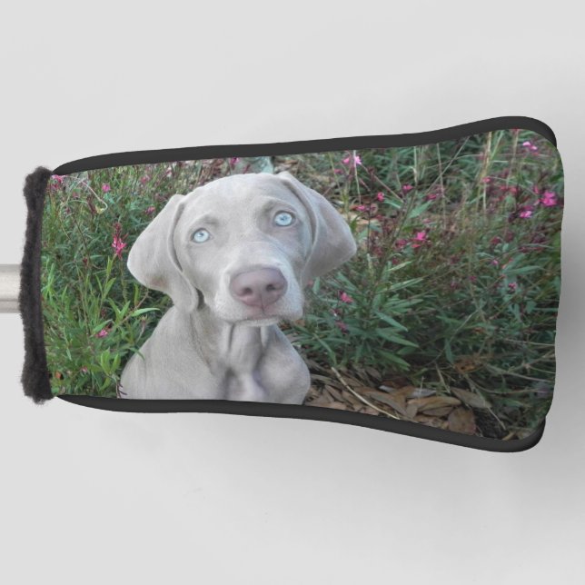 Couvre-club De Golf Brooklyn's Weimaraner Dog Golf Putter Head Cover (Devant)