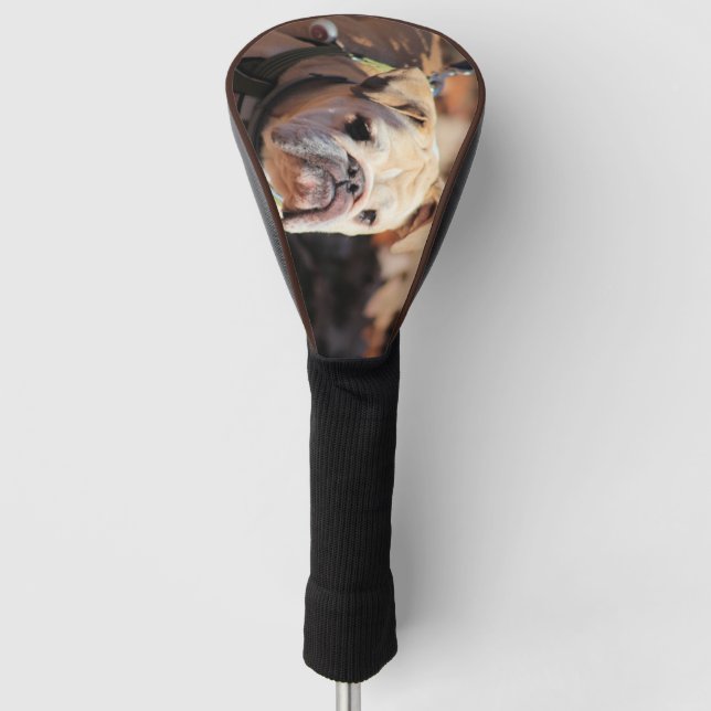 Couvre-club De Golf Bulldog (Devant)