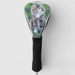 Couvre-club De Golf Calico Cat