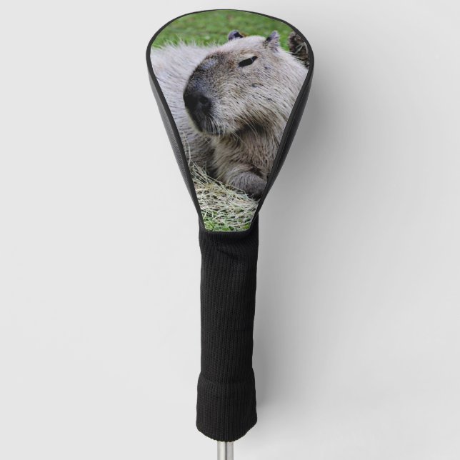 Couvre-club De Golf capybara 07 (Devant)