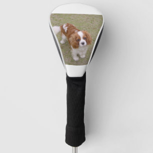 Couvre-club De Golf Cavalier roi-charles-spaniel plein