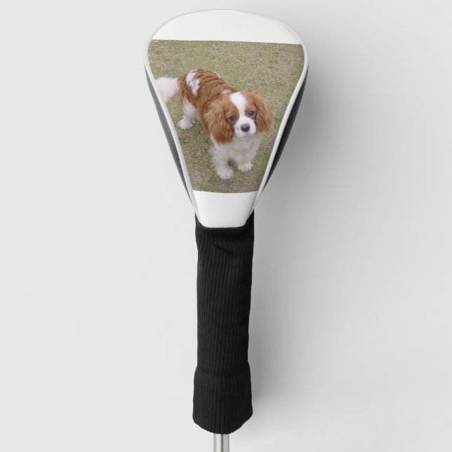 Couvre-club De Golf Cavalier roi-charles-spaniel plein (Devant)