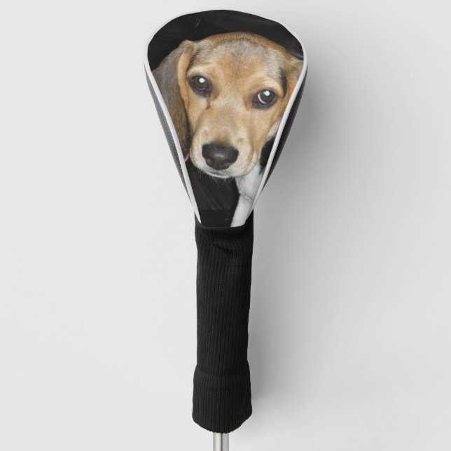 Couvre-club De Golf Chiot beagle 2 (Devant)