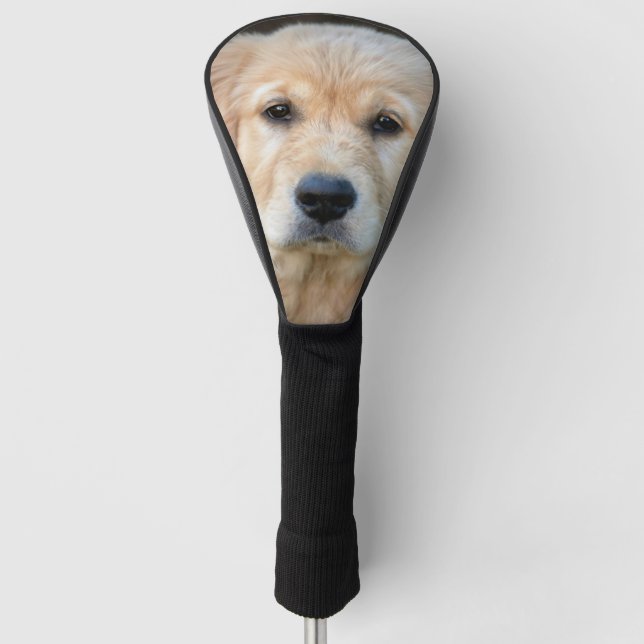 Couvre-club De Golf Chiot Golden Retriever (Devant)