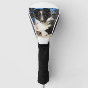 Couvre-club De Golf chiot noir et blanc de SHP de shet