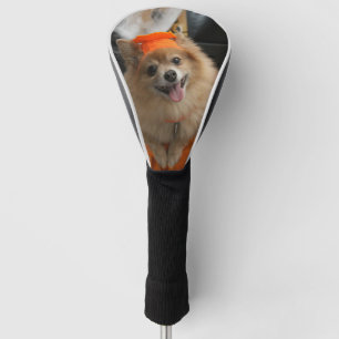 Couvre-club De Golf Chiot rusé de sourire de Pomeranian en citrouille