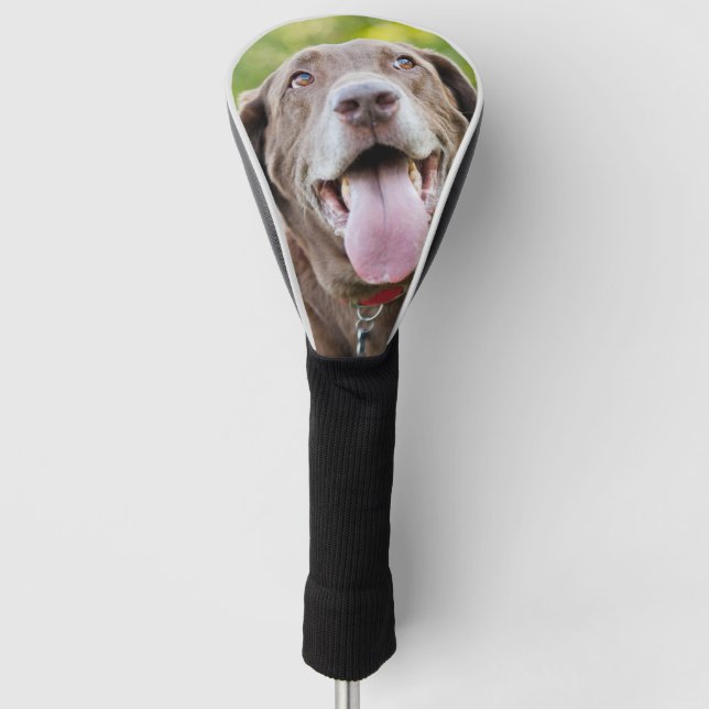 Couvre-club De Golf Chocolat Lab Chien (Devant)