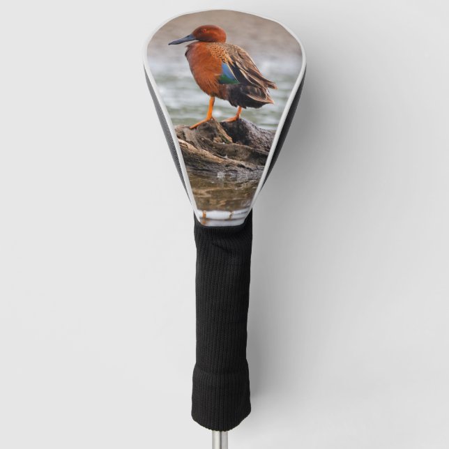 Couvre-club De Golf Cinnamon superbe Canard Turquoise sur Rock (Devant)