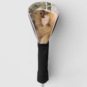 Couvre-club De Golf Cochon