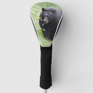 Couvre-club De Golf Couverture de la tête de golf de l'ours noir
