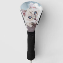 Create your Own Photo