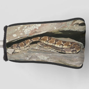 Couvre-club De Golf Crotale dans le parc national de Shenandoah