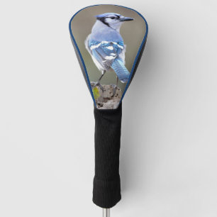 Couvre-club De Golf Cute Bleu Jay Songbird sur Treestump