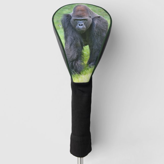 Couvre-club De Golf cute gorilla walking (Devant)