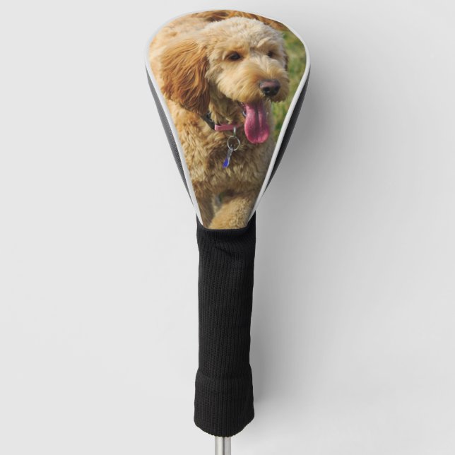 Couvre-club De Golf Doodle d'or (Devant)
