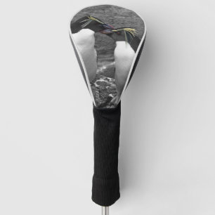 Couvre-club De Golf Éclaboussure de couleur de pingouin