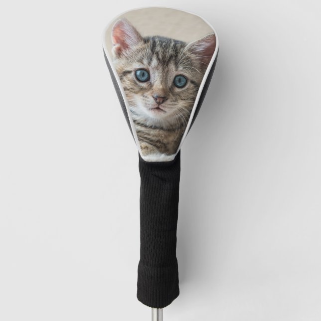 Couvre-club De Golf Face de chat mignonne (Devant)