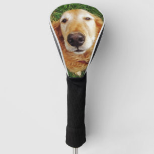 Couvre-club De Golf Golden Retriever