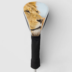 Couvre-club De Golf Grand lion regardant loin