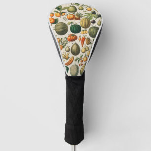 Couvre-club De Golf Illustration scientifique végétale des fruits