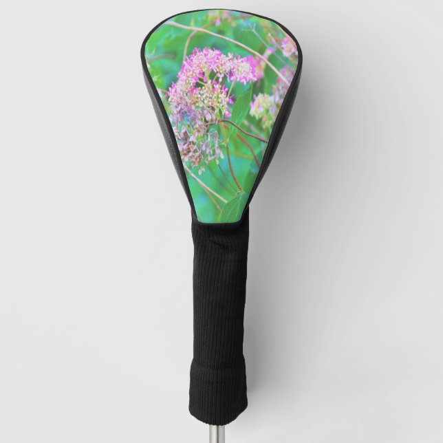 Couvre-club De Golf Invincibelle Spirit Hot rose Hydrangeas sur Aqua (Devant)