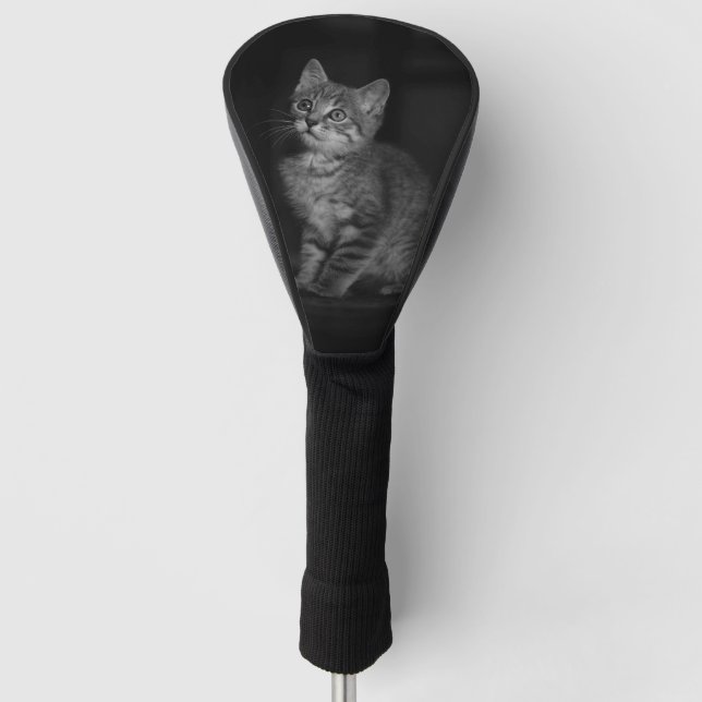 Couvre-club De Golf Kitten précieux (Devant)