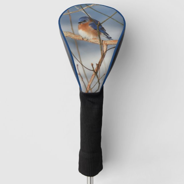 Couvre-club De Golf La nature des oiseaux bleus d'hiver (Devant)