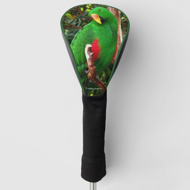 Couvre-club De Golf Le perroquet de l'écorce verte (Devant)