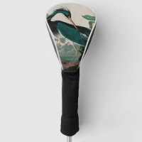 Louisiana Heron Birds of America Audubon Imprimer