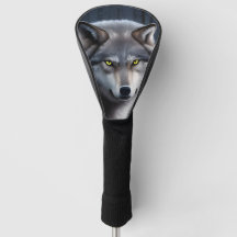 Loup En Forêt D'Hiver