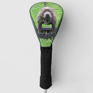Couvre-club De Golf Mâle adulte Terrier Staffordshire prêt à jouer,